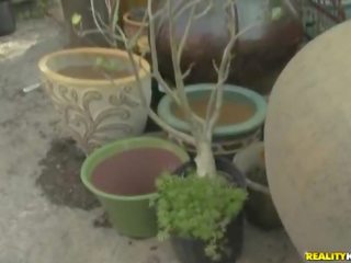 Ou vous pouvoir mettre votre balle sur une cactus