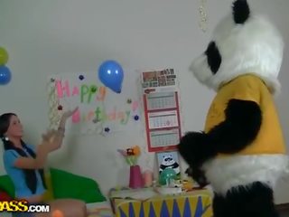 Brunette tenåring cookie knullet med strapon panda