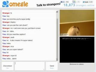 Smashing precētas mazulīte lugas ar bumbulīši par omegle