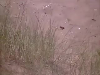 Cativante meninas em o praia